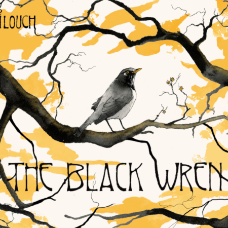 The Black Wren