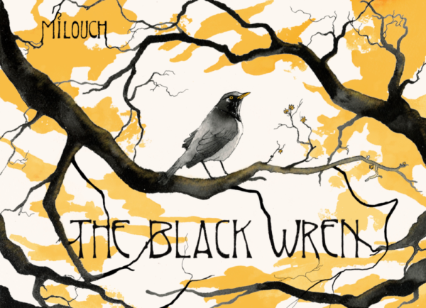The Black Wren